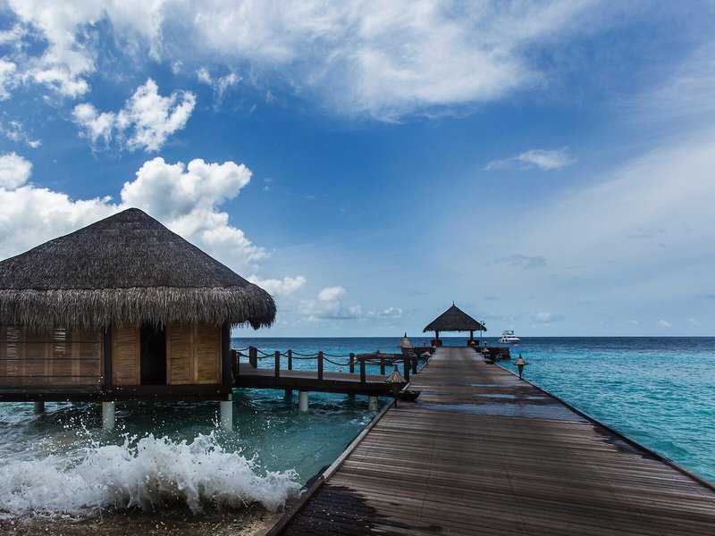 Taj Coral Reef Resort & Spa, Maldives 2