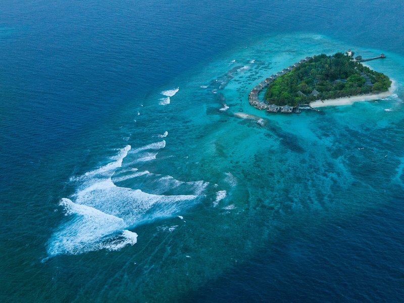 Taj Coral Reef Resort & Spa, Maldives 4