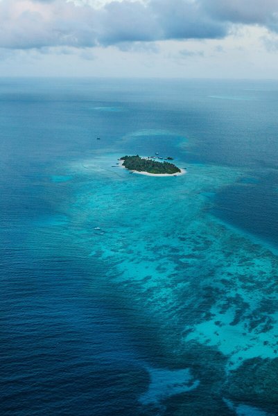 Taj Coral Reef Resort & Spa, Maldives 5
