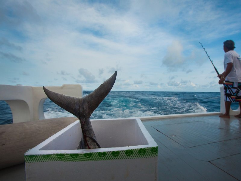 Taj Coral Reef Resort & Spa, Maldives 29