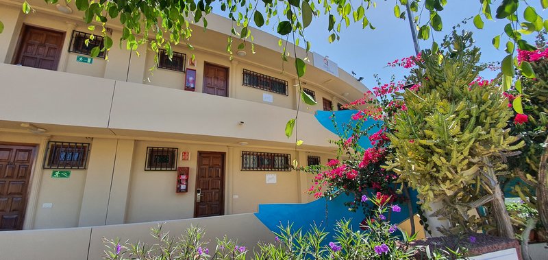 Alsol Nara 10