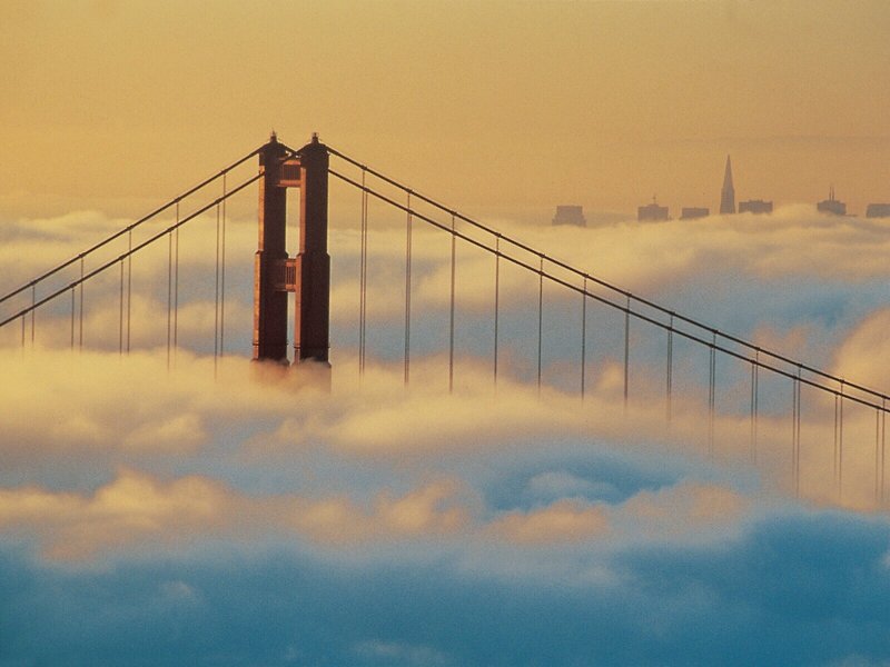 The St.Regis San Francisco Hotel 5