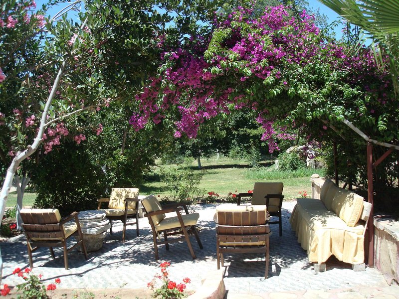 Neptün Hotel 2
