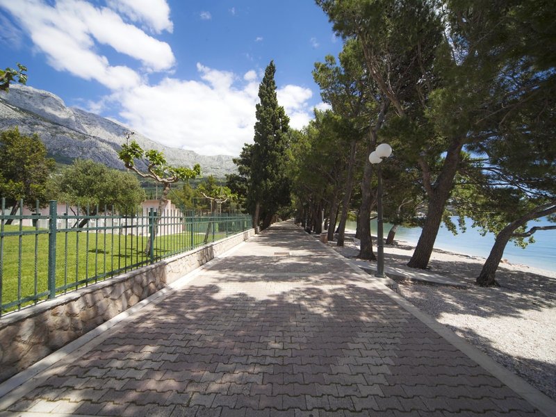 smartline Bluesun Neptun 6