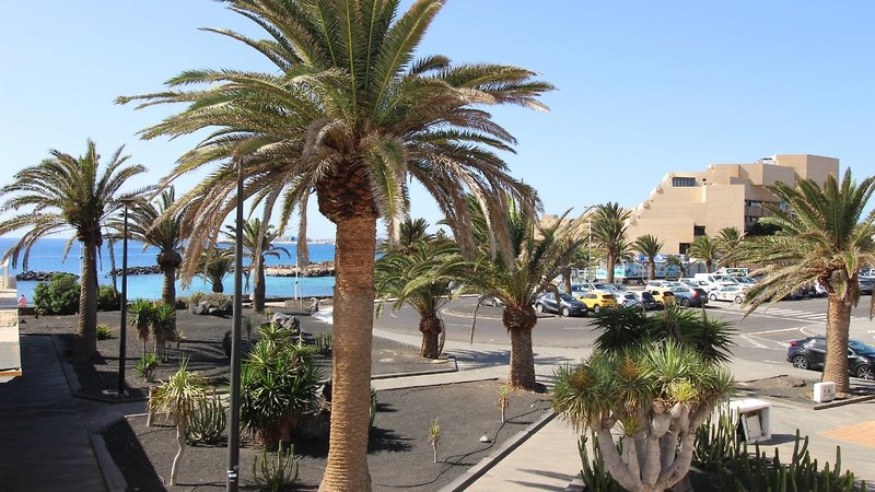 Neptuno Suites 14