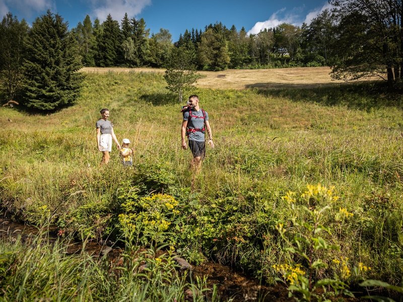 Elldus Resort Family & Spa 8