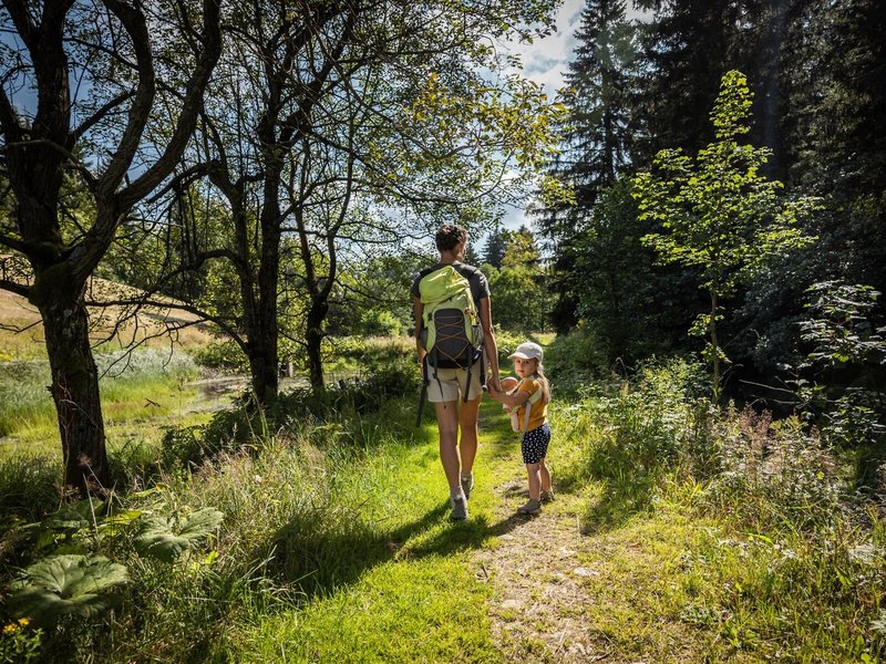 Elldus Resort Family & Spa 9