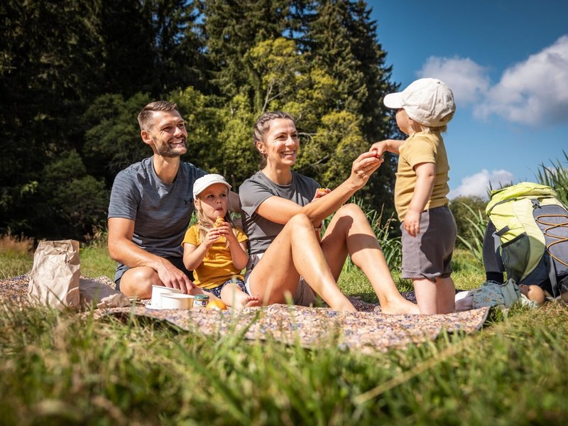 Elldus Resort Family & Spa 10