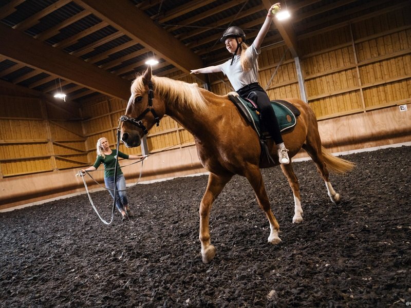 Elldus Resort Family & Spa 49