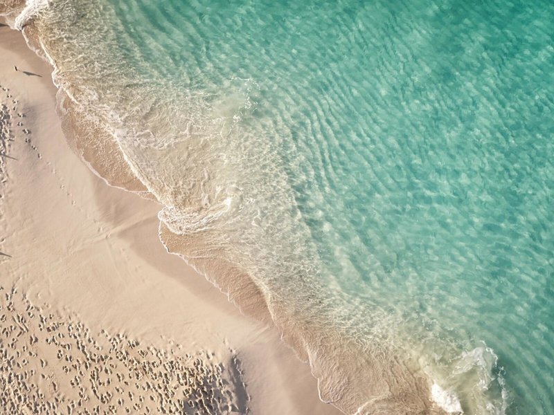 The Ocean Club Bahamas 4