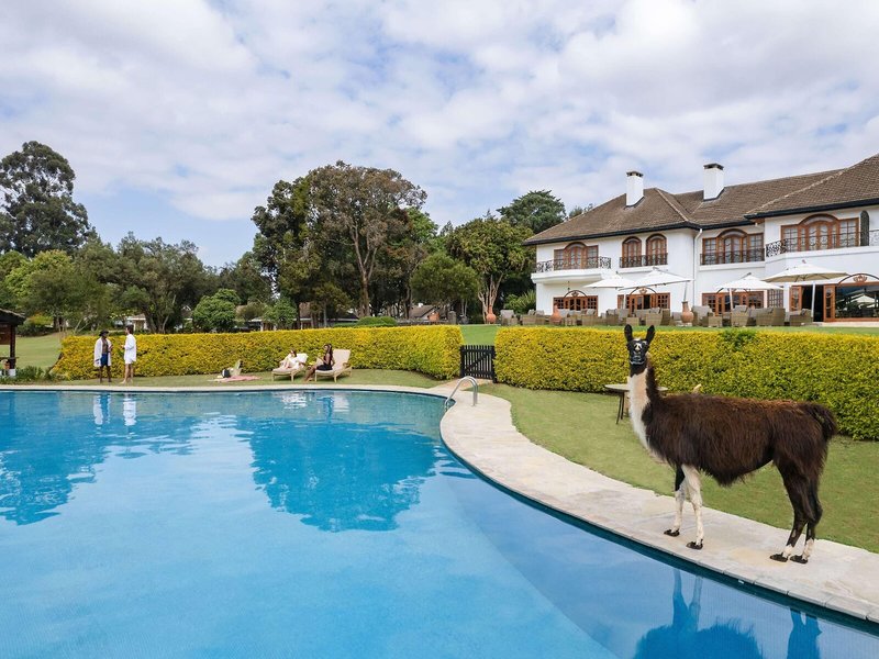 Fairmont Mount Kenya Safari Club 15