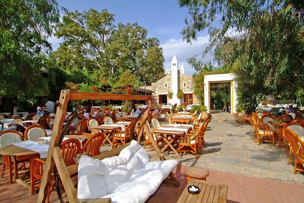 Okaliptus Otel 18