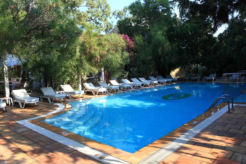 Okaliptus Otel 1