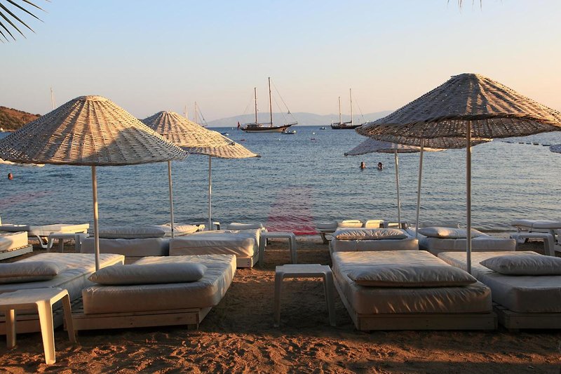 Okaliptus Otel 2