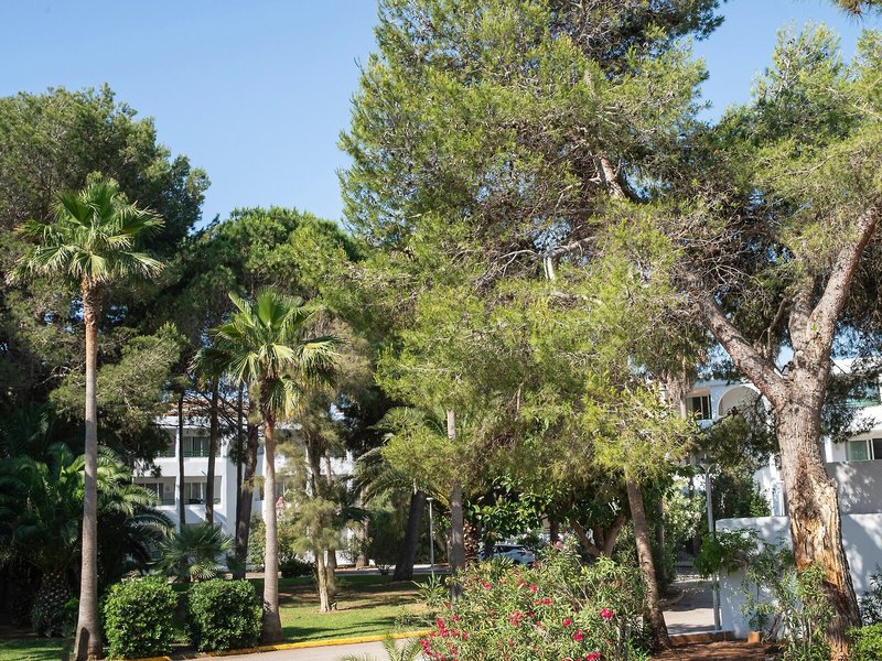 Pierre & Vacances Apartamentos Mallorca Cecilia 7