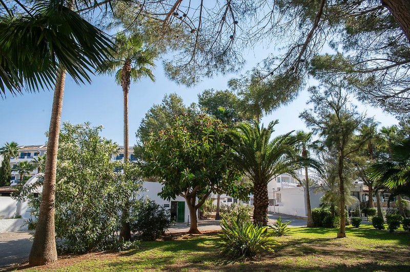 Pierre & Vacances Apartamentos Mallorca Cecilia 2