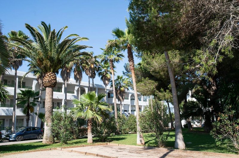 Pierre & Vacances Apartamentos Mallorca Cecilia 5