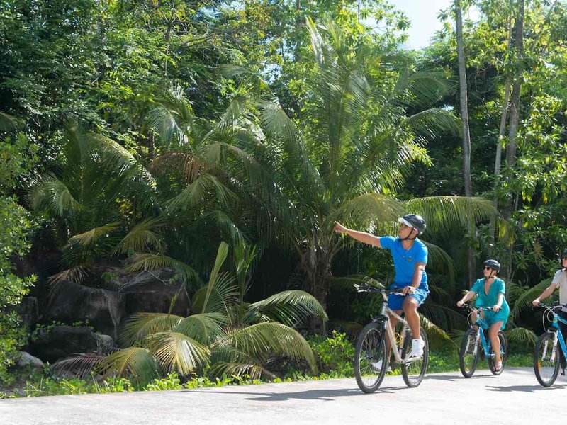 Constance Ephelia 41