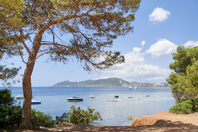 Iberostar Selection Santa Eulalia Ibiza 14
