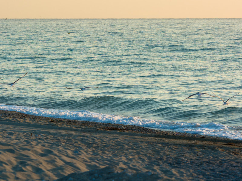 Bomo Olympus Grand Resort 12