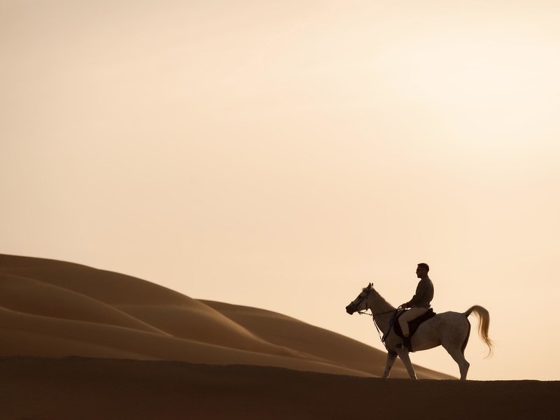 Qasr Al Sarab Desert Resort by Anantara 47 - Sports and leisure