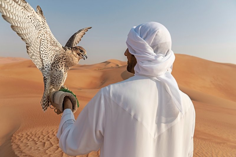 Qasr Al Sarab Desert Resort by Anantara 26