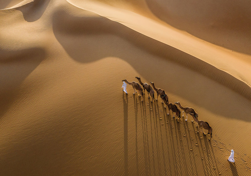 Qasr Al Sarab Desert Resort by Anantara 28