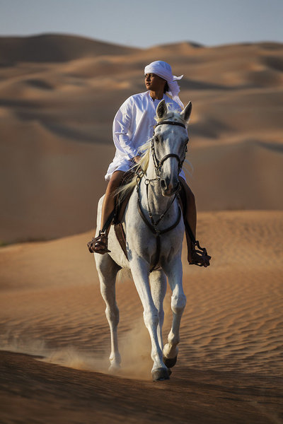 Qasr Al Sarab Desert Resort by Anantara 34