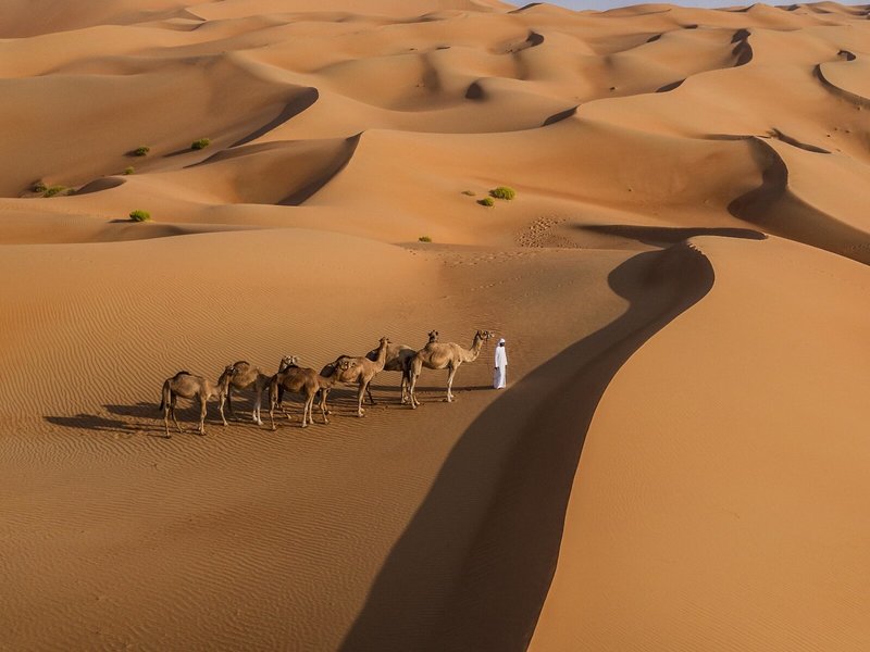 Qasr Al Sarab Desert Resort by Anantara 35