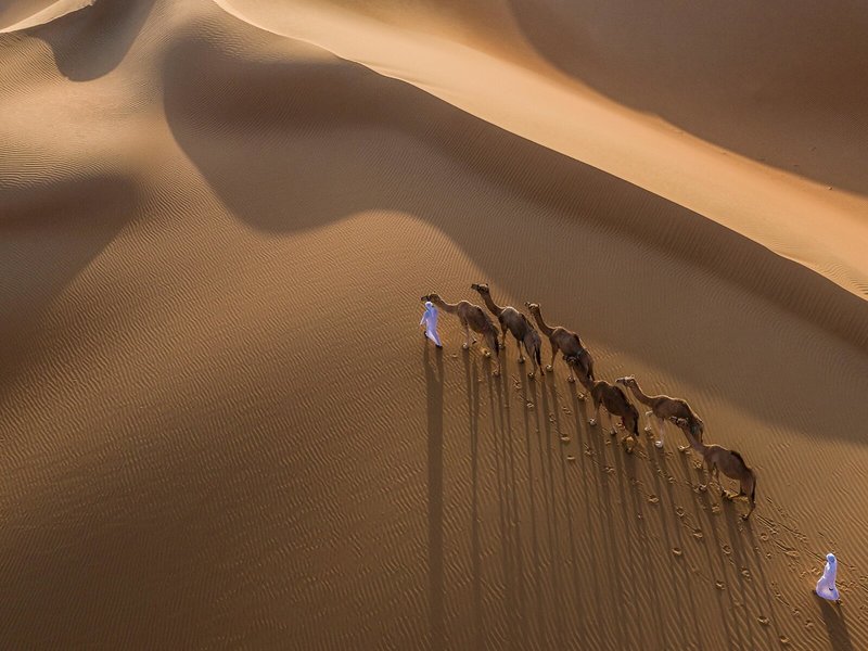 Qasr Al Sarab Desert Resort by Anantara 44