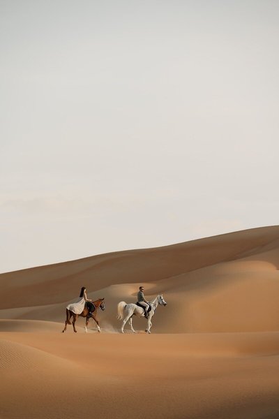 Qasr Al Sarab Desert Resort by Anantara 48