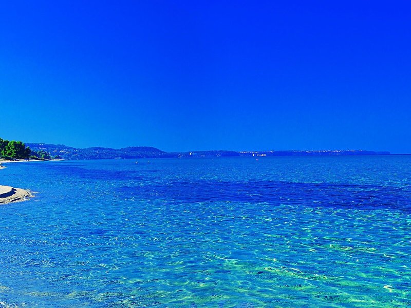 Elinotel Apolamare 8