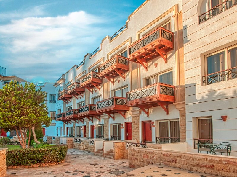 Falcon Naama Star 4