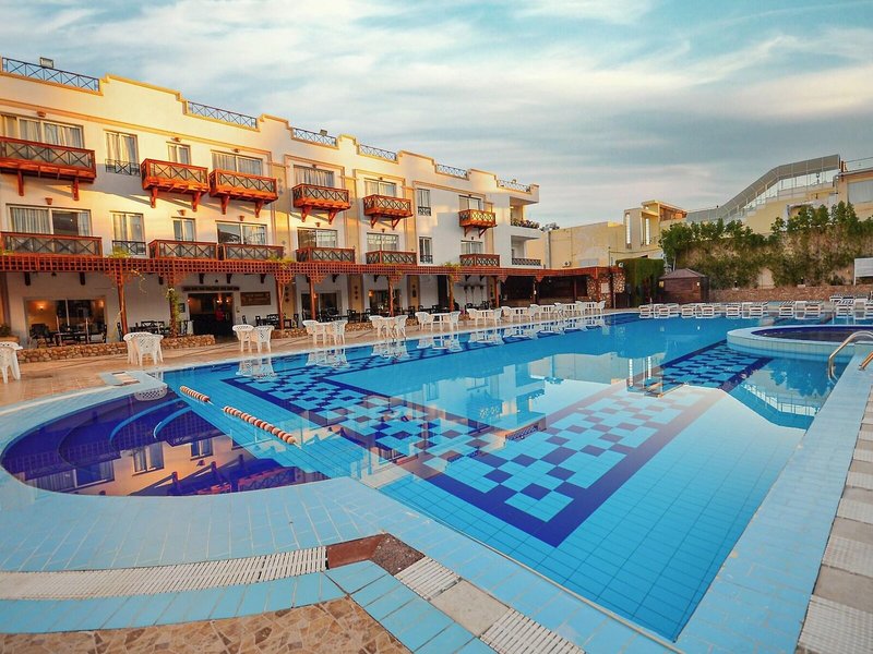 Falcon Naama Star 8