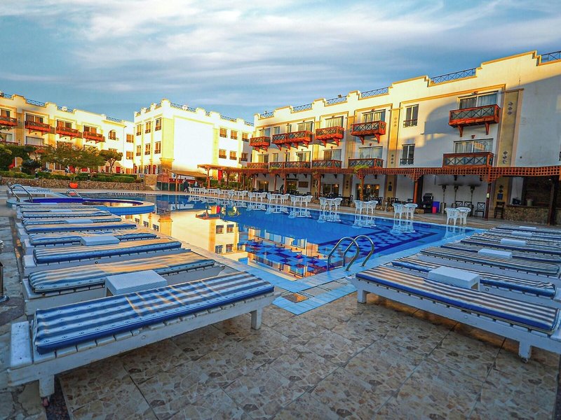 Falcon Naama Star 10