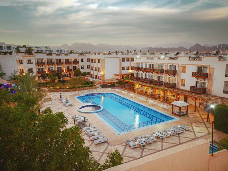Falcon Naama Star 11