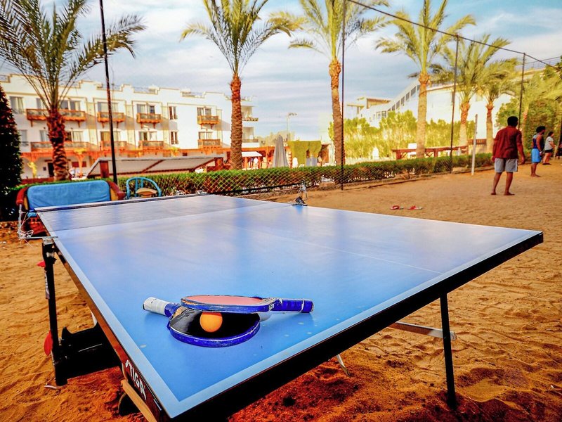 Falcon Naama Star 37