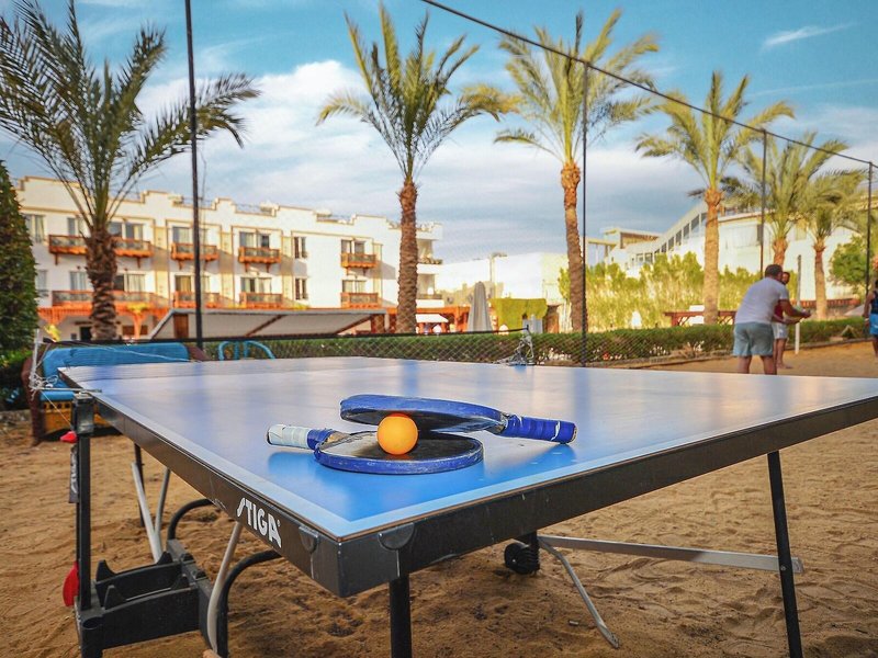 Falcon Naama Star 38