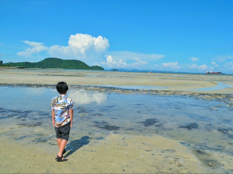 Pullman Phuket Panwa Beach Resort  30