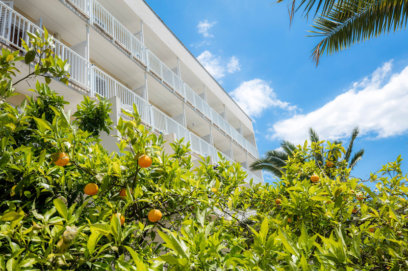 Orsan Hotel by Aminess 18