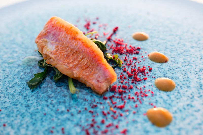The Royal Blue 66