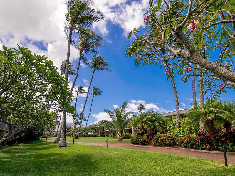 Napili Shores Maui by OUTRIGGER 6