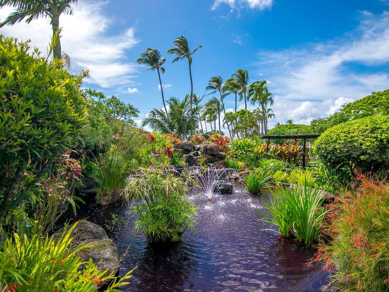 Napili Shores Maui by OUTRIGGER 8