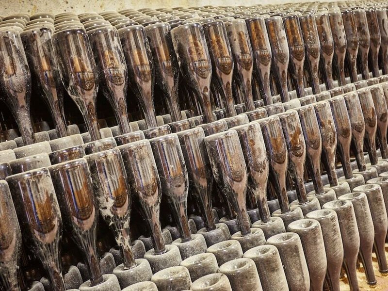 Paço de Calheiros 20