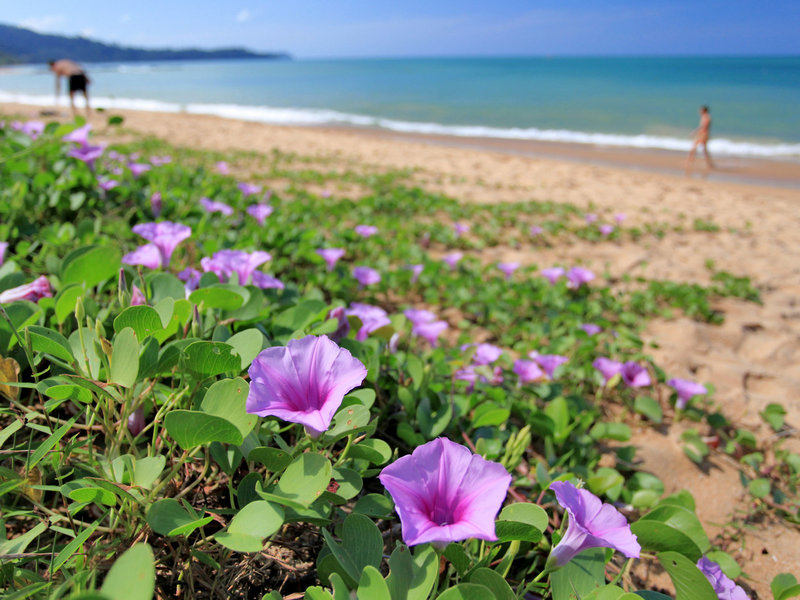 Ramada Resort by Wyndham Khao Lak 11