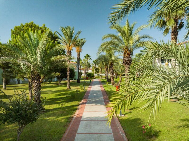 Asteria Family Resort Side 20