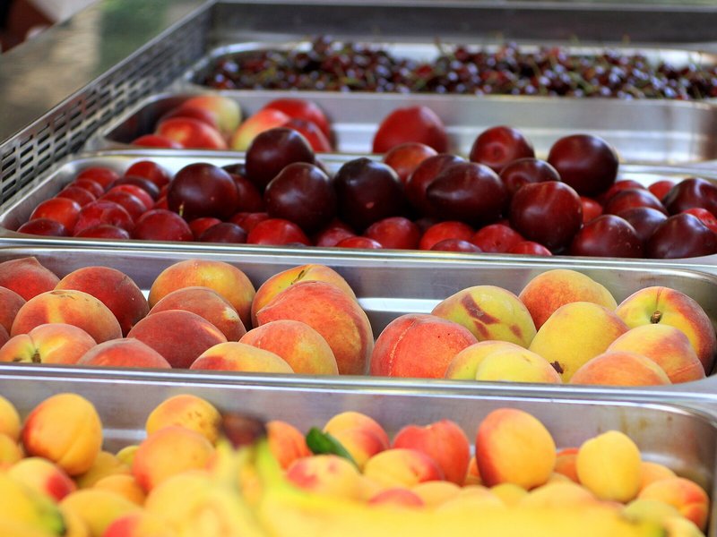 Protur Palmeras Playa Hotel 31