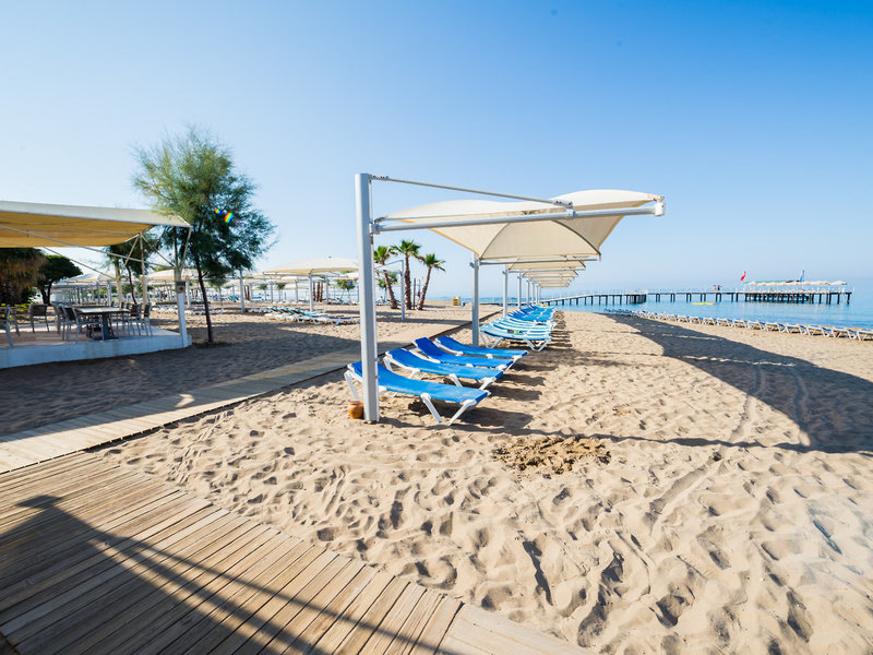 ROBINSON Pamfilya 12