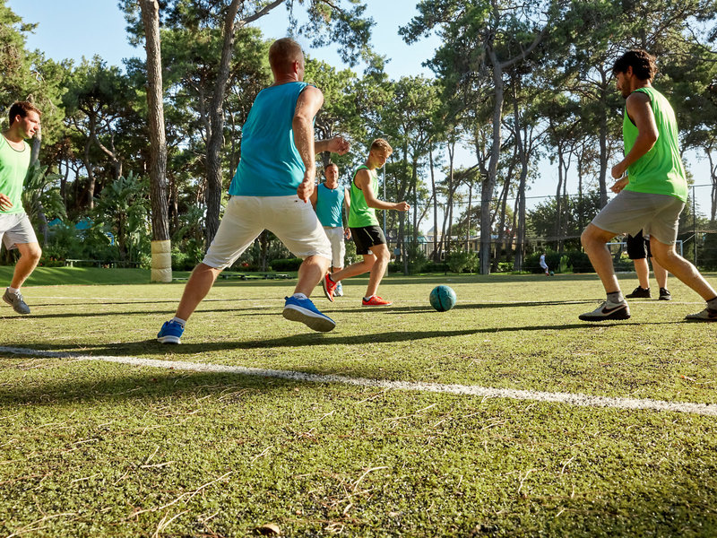 ROBINSON Pamfilya 50