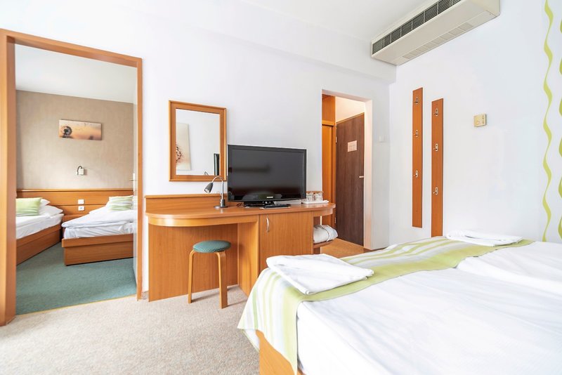 Panorama Balaton 10 - Room Example